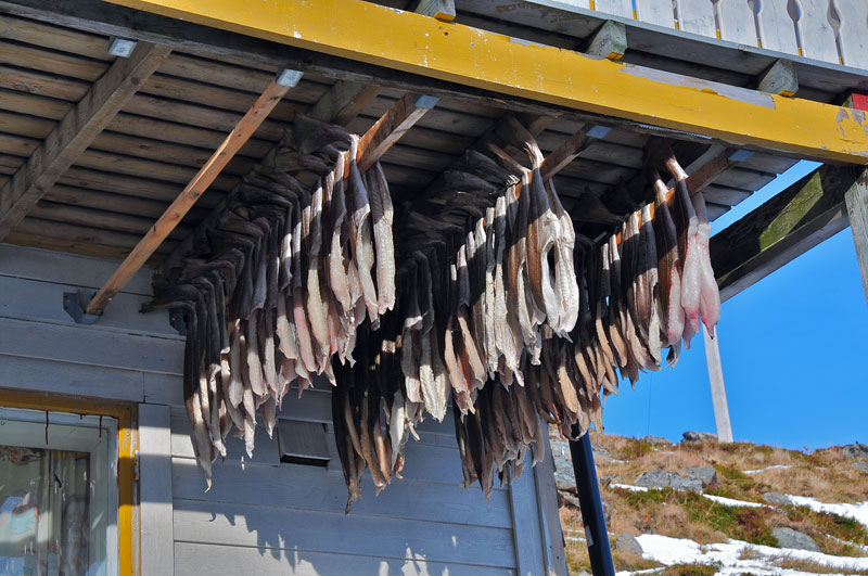 Scandinavie, Suede, Norvege, Finlande